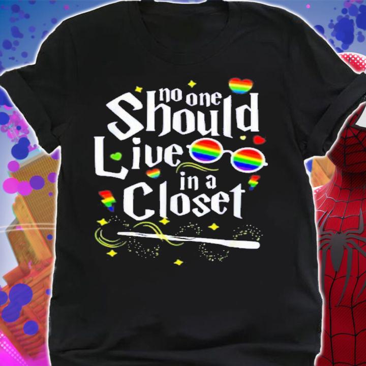 No One Should Live In A Closet Harry Potter Inspired T-Shirt t-shirt