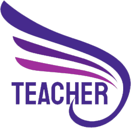 Teacherheroshirt